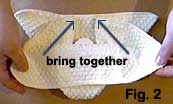 washcloth fish fig. 2