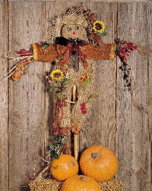 Sunny Scarecrow